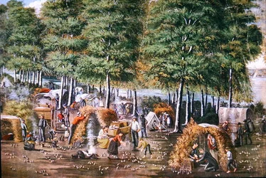 The Miracle of the Quail