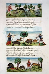 Art Byzantium: wild boar hunting. Different hunting techniques. Top: capture of beets in nets. In the center game hunting for a bow. Bottom: hunters attack by animals. Miniature in De venatione folio 19, by Oppian of Syria