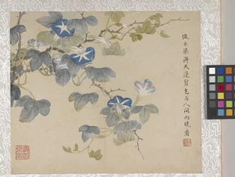 8 Leaf Album of Flowers