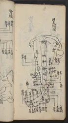 Acupuncture points on the leg, from Jing Guan Qi Zhi, “The beginnings and ends of acupuncture points and channels”, published in Southern China, early 18th century