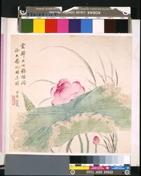 Album of Flowers and Birds
