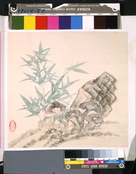 Album of Flowers and Birds