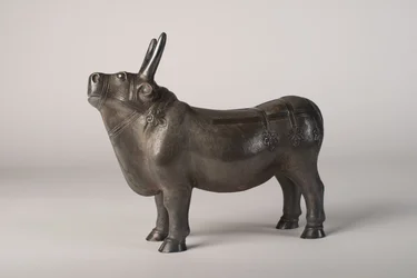 Bull