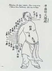 Chinese acupuncture: the large intestine