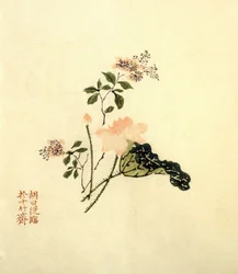 Lotus flower - ink on paper, China
