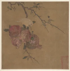 Pomegranates after Ma Lin