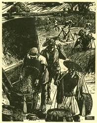 Soldiers and Civilians Co-operative from Sung Ping-heng, Soldiers and Peasants Working Together to Recover Wheat. Wood Engraving, in “Woodcuts of War-time China 1937-1945”, Shanghai