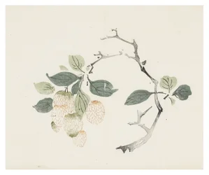 Ten Bamboo Series