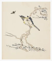 Ten Bamboo Series