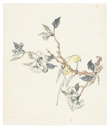 Ten Bamboo Series