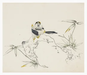 Ten Bamboo Series