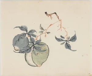 Ten Bamboo Series