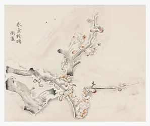 Ten Bamboo Series