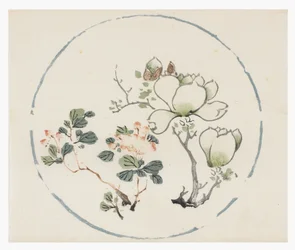 Ten Bamboo Series