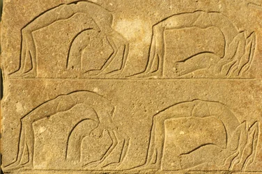Ancient Egypt, Wall Painting/Carving, Female Acrobats Performing, Karnak Temple, Luxor