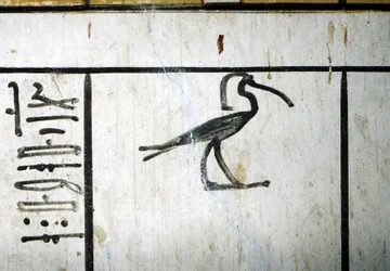 Luxor, Thebes: Valley of the Kings, Tomb of Amenophis III, Egyptian pharaoh of the 18th dynasty (-1410 - -1370)