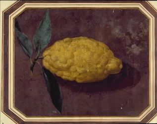A Lemon