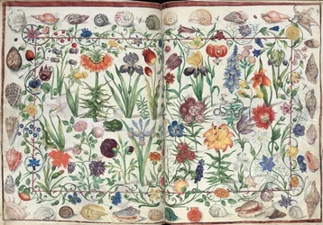 Pages from the Album Amicorum of Philipp Hainhofer