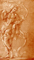 Young man leaning on a vine