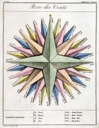 Wind Rose