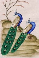 Miniature Painting on Paper: Peacock