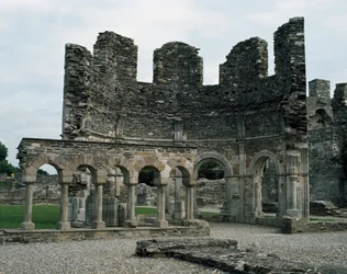 Mellifont Abbey