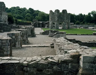 Mellifont Abbey near Drogheda