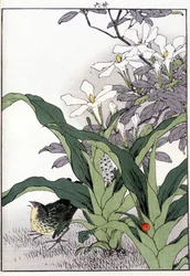 Bird in the flowers - Japanese print