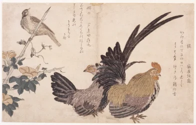 Cock, Hen, And Bird