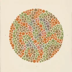 Ishihara Color Test to Detect Colour Blindness