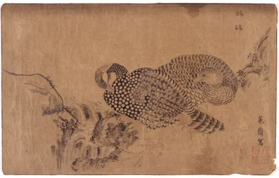 Two Birds