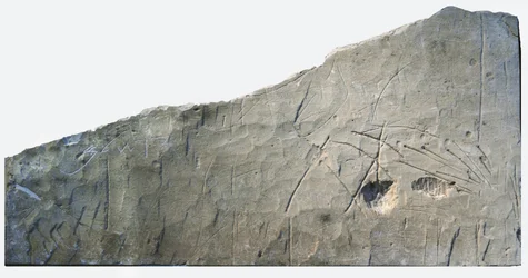 Hebrew Burial Inscription from Beth Loya, Judean Foothills, Israel, 6th Century BC