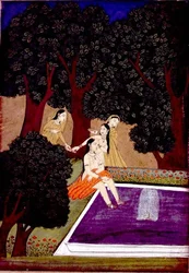 A lady at a pool, Johnson Album IX