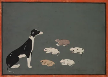 Dog with Pups, c.1780