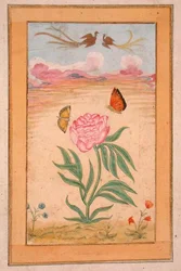 Flowering plants with birds of paradise and butterflies, from the Small Clive Album