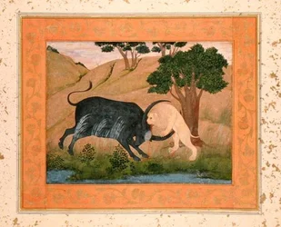 Lion in combat with a water buffalo, from the Large Clive Album
