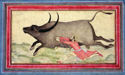 Runaway Buffalo, Johnson Album XIV, no.11, verso, c.1700