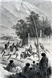 Maori Warriors Playing on a Swing, illustration from 