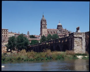 View of Roman bridge on river, Tormes and cathedral