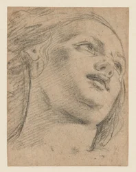 Female Head Study Looking Up to Right (recto); Study of Two Figures Supporting an Object (verso)