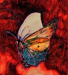 Butterfly, 2021