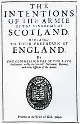 Title Page for 