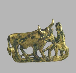 Belt Buckle
