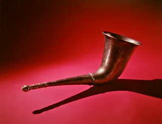 Drinking horn with a lions head finial