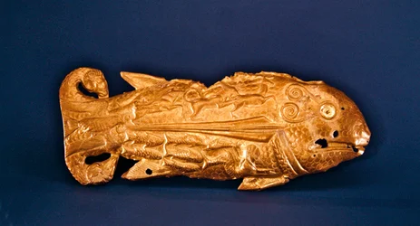 Fish