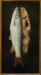 Fish Still Life