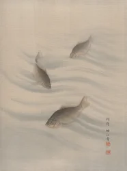 Fishes Swimming