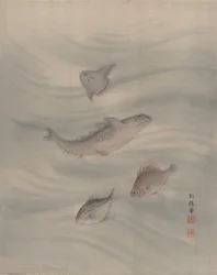 Fishes