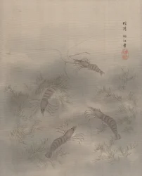 Shrimp Ebi, ca. 1890-92