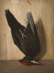 Woodpecker